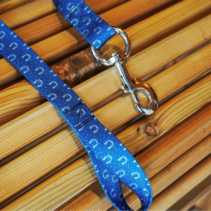 Frosted Horseshoes - Bucket Hook Hanger