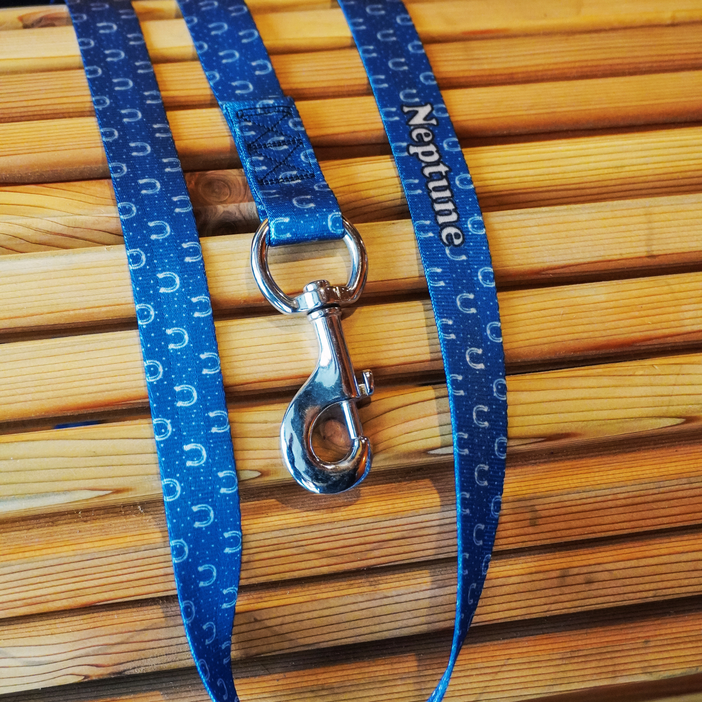 Frosted Horseshoes - Lead Line 2 meters