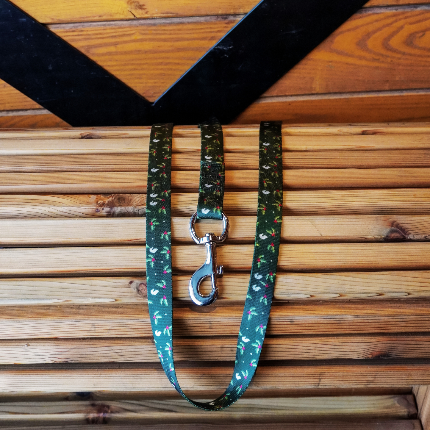 Holly & Hooves - Lead Line 2 meters