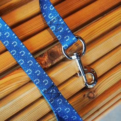 Frosted Horseshoes - Bucket Hook Hanger