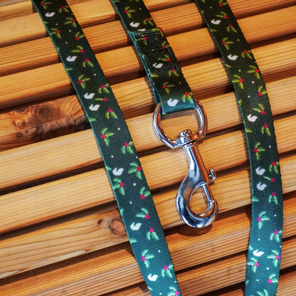 Holly & Hooves - Lead Line 2 meters