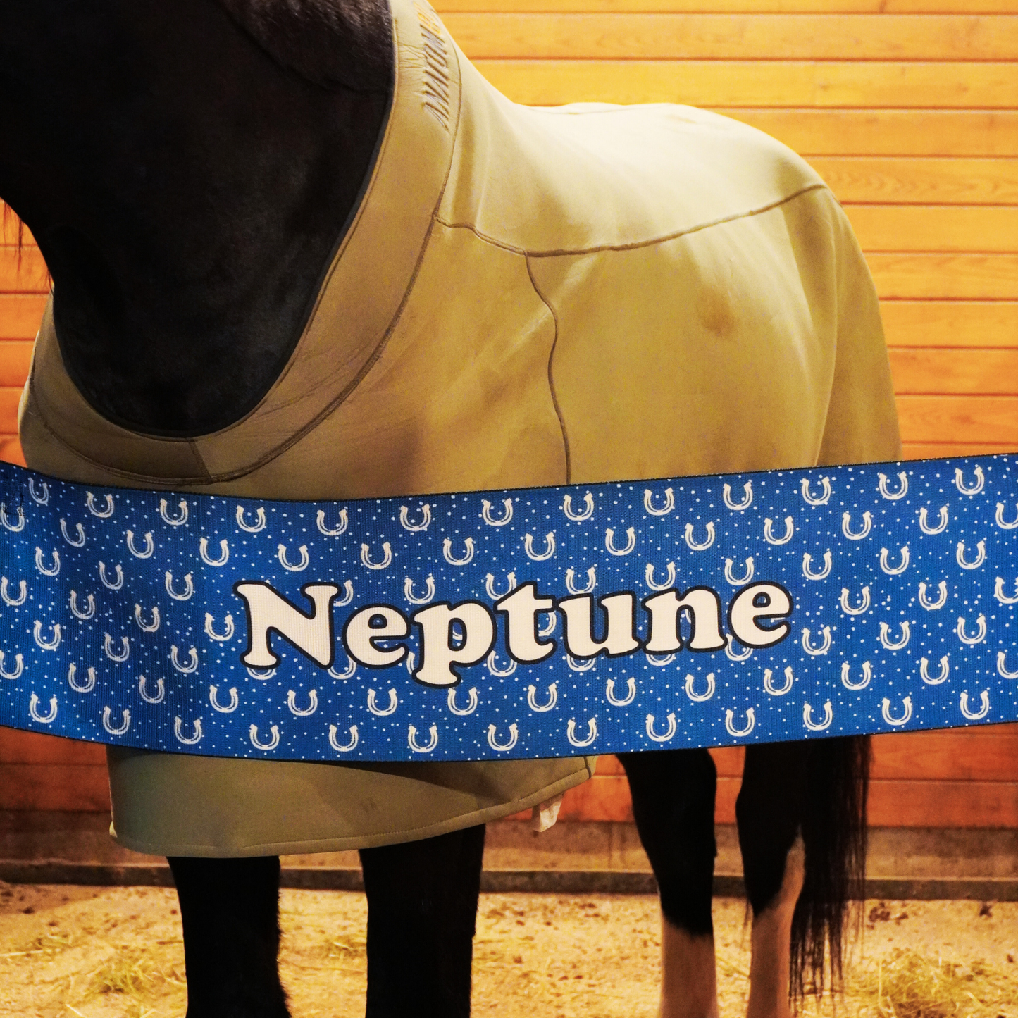 290mm - Stall Barrier