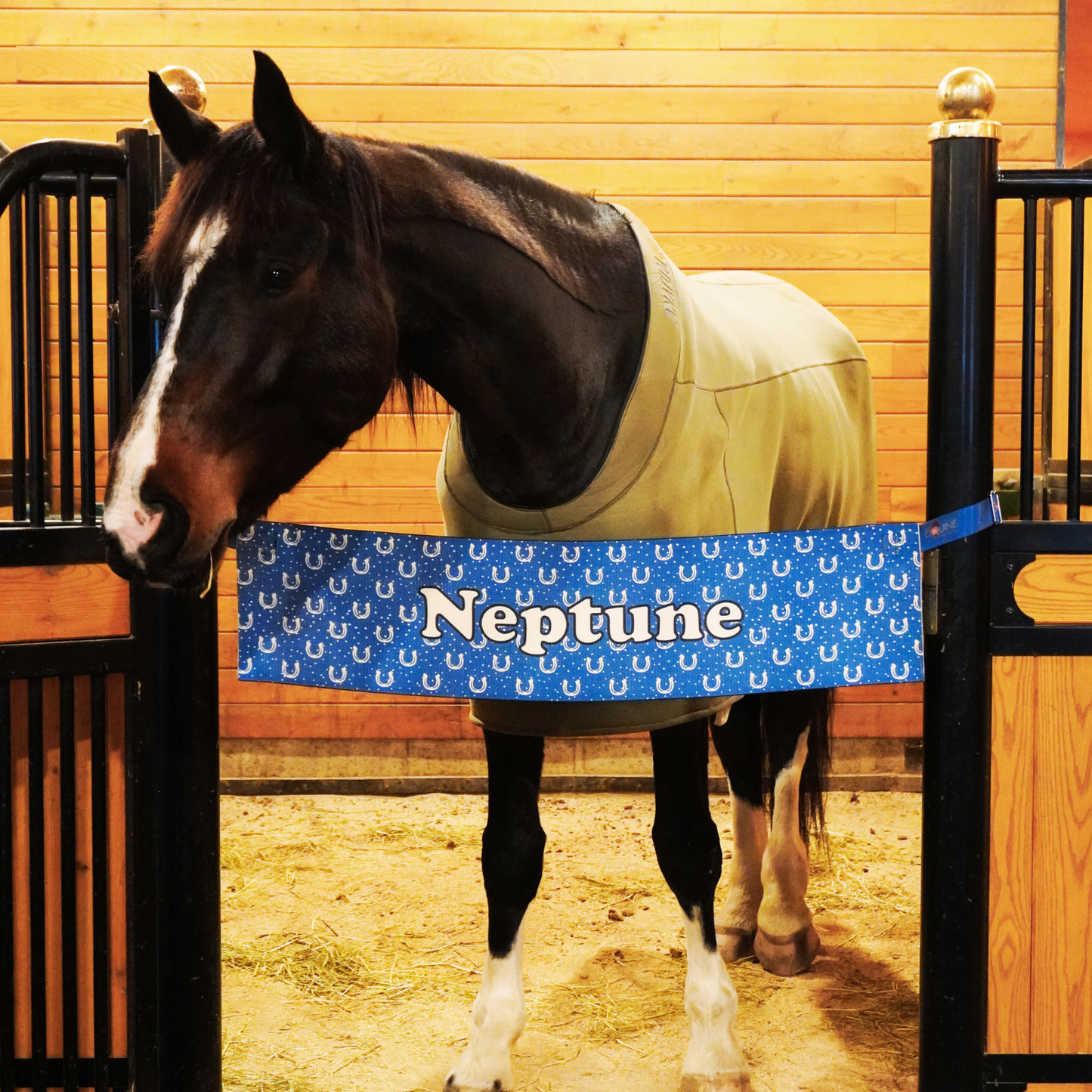 290mm - Stall Barrier