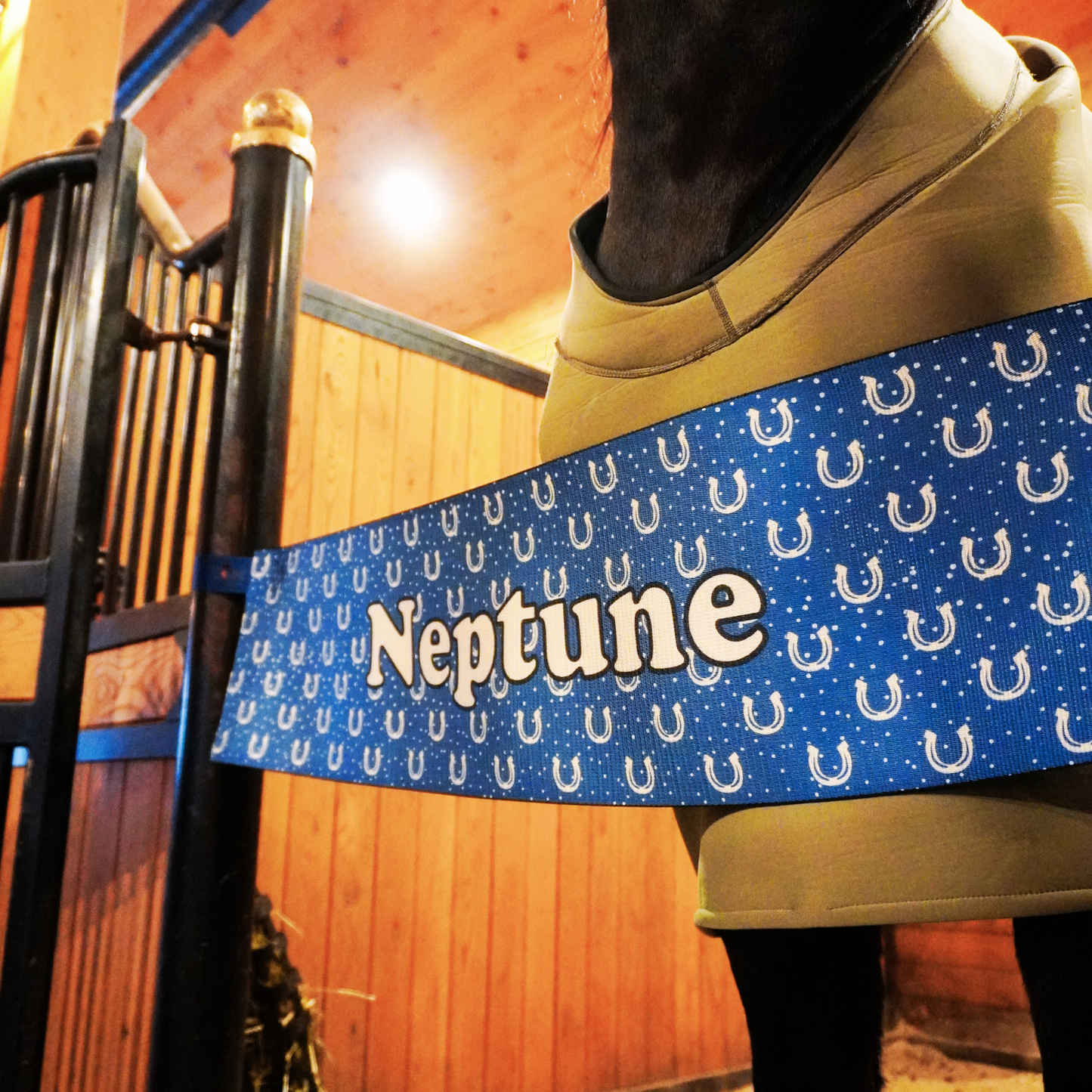 290mm - Stall Barrier