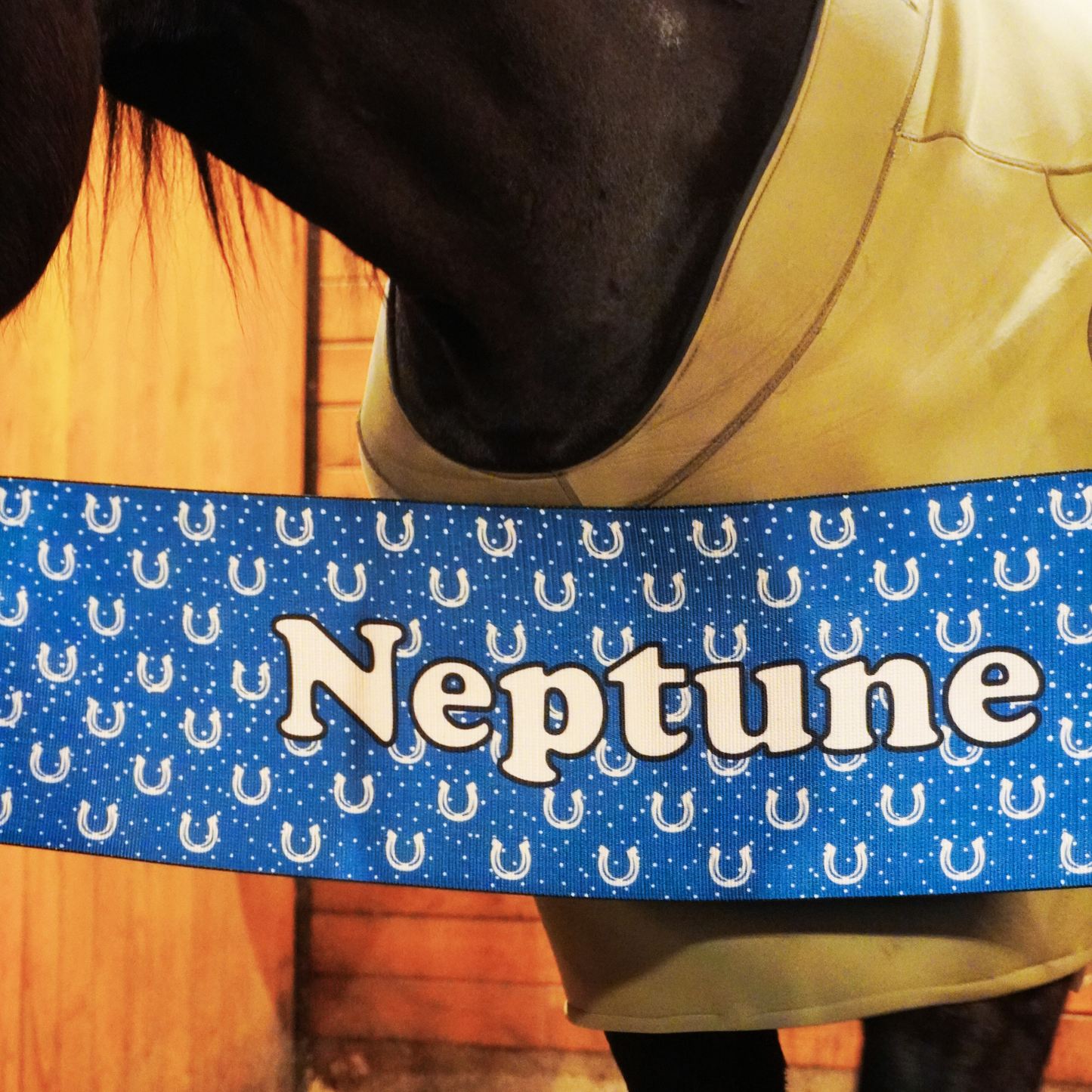 290mm - Stall Barrier