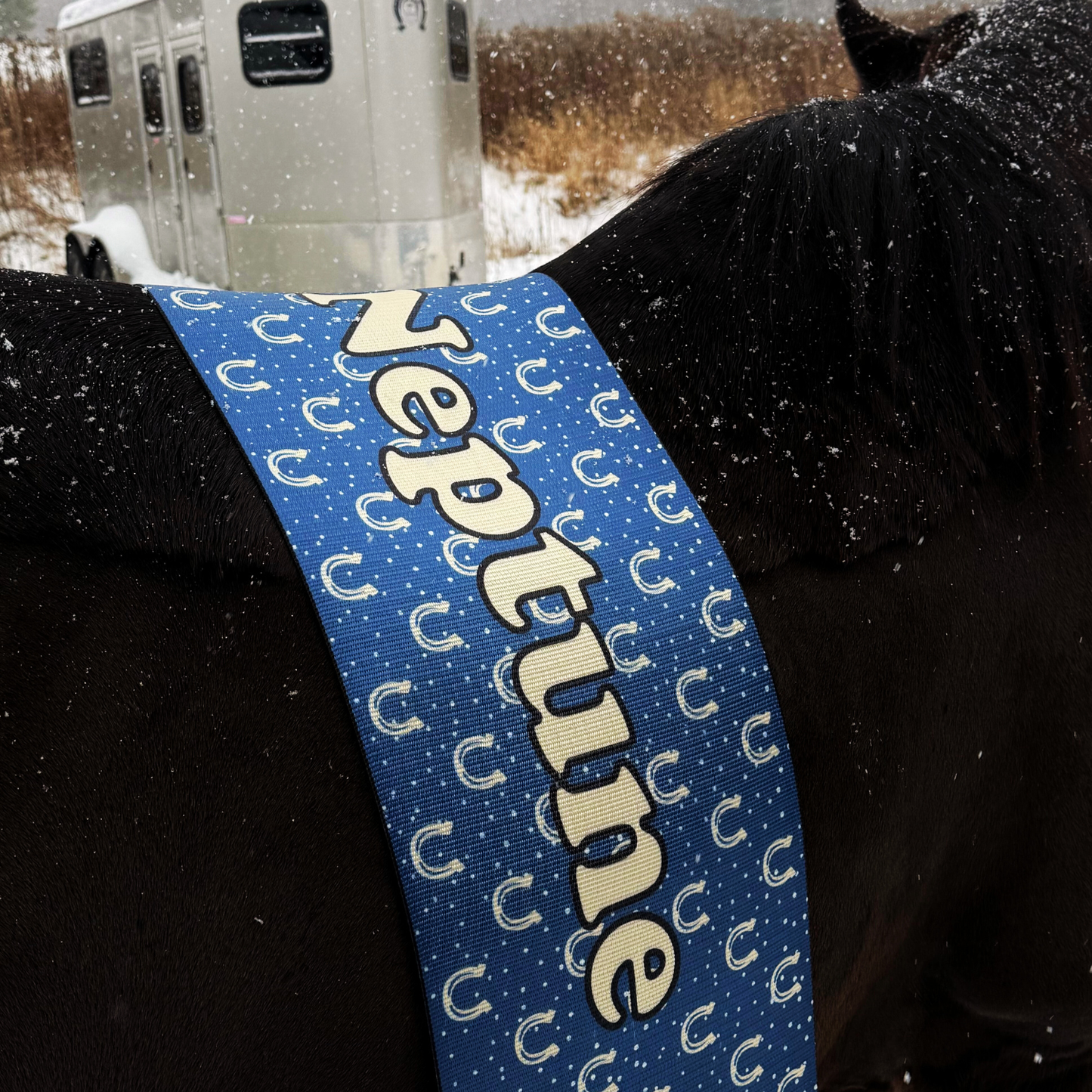 290mm - Stall Barrier